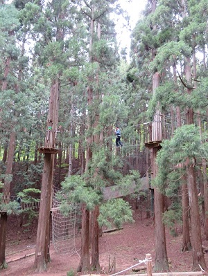 フォレストアドベンチャー