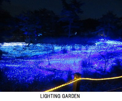 イルミネーション